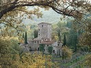 Hills Of Chianti By Rod Chase Giclee On Paper  Artist Proof by Rod Chase