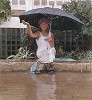 Catching The Rain Limited Edition Print by Steve Hanks
