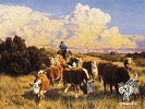 At His Own Pace By Tim Cox Print  Signed & Numbered by Tim  Cox