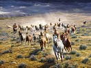 Rumbling Thunder By Tim Cox Print  Signed & Numbered by Tim  Cox