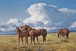 Summer Breezes By Tim Cox Giclee On Canvas  Signed & Numbered by Tim  Cox