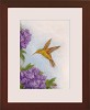 Humming Bird with Hydrangea Original Oil on Board Framed by Tim Ashkar