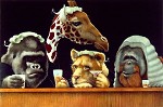The Bar Exam... Limited Edition Print by Will Bullas
