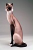 Armani_Cat - Large