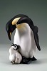 Armani_Penguin And Baby
