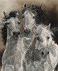Judy Larson&nbsp;The Defiant, LIMITED EDITION CANVAS