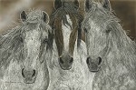 Judy Larson&nbsp;The Misfits, LIMITED EDITION CANVAS