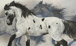 Judy Larson&nbsp;The Ghost Wind, LIMITED EDITION PRINT