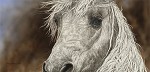 Judy Larson&nbsp;The Gift, LIMITED EDITION PRINT