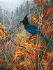 Stephen Lyman&nbsp;Crimson Indigo, LIMITED EDITION CANVAS