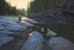 Above The Falls Masterwork Canvas Edition
