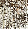 A Christensen Character Cleverly Camouflaged In A L.e.print