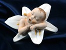 Armani&nbsp;LILY BABY 