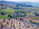 Chianti Classico Limited Edition Canvas