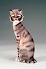 Armani&nbsp;Cat - Small