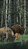 Judy Larson_THE SURVIVORS, LIMITED EDITION PRINT