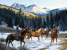 Where the Sun Shines on the Mountain Top by Tim Cox Canvas Signed & Numbered