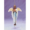 Thomas Blackshear's Ebony Visions&nbsp;Hope - 2006 Basic Membership Kit