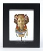 Thomas Blackshear's Ebony Visions_Exotic Nouveau Faces of Beauty