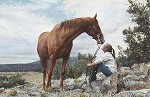 From A Higher Level Limited Edition Print