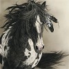 Judy Larson&nbsp;With Freedon For All Limited Edition Print