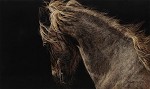Fire & Flight, Limited Edition Canvas