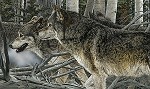 Kinship Limited Edition Print