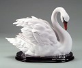 Armani_SWAN - SEMI-CLOSED WINGS