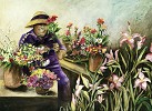Gamboa&nbsp;May Flowers