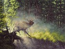 Mystic Warrior Limited Edition Print