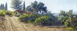 Monterey Vineyard Limited Edition Print