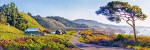 Pacific Coast Highway Masterwork Canvas Edition