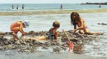 Beach Girls Canvas Giclee