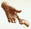 Life Span Canvas Giclee