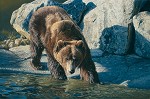 Retreat From The Heat Limited Edition Canvas