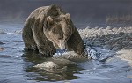 Over The Rainbow Limited Edition Canvas