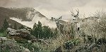 The Dry Side Of Winter Limited Edition Canvas