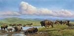 The Gifts Of Spring Limited Edition Canvas