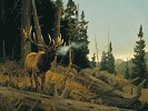 The Nomad Limited Edition Print