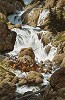 The Roar Of The Falls Limited Edition Print