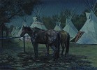Relay Horses in camp, Crow fair 2000: