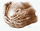 Miracle Of Life Canvas Giclee