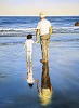 Ageless Images