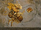Benediction, Anniversary Edition Canvas