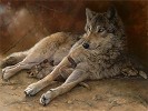 Idle Hours Limited Edition Canvas