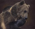 A Nose For Honey Limited Edition Canvas