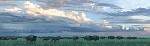 Prairie_thunder_museumedition_canvas