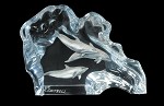Kitty Cantrell_Dolphin Wave