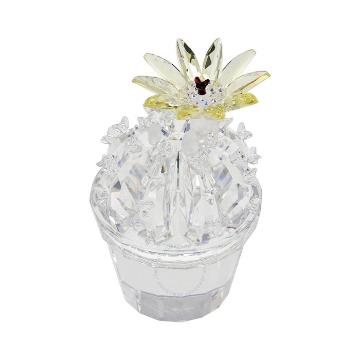 mindware crystal cactus