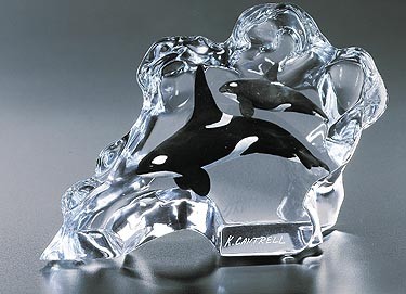 Kitty Cantrell Orca Wave 